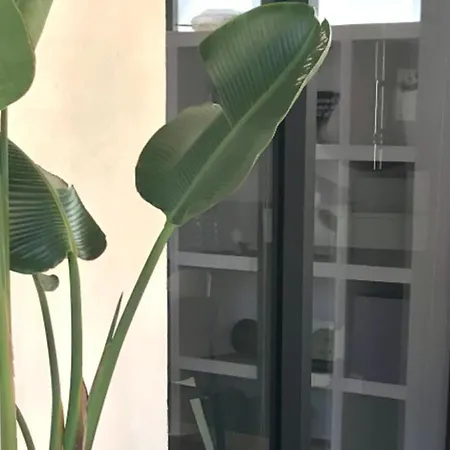 Appartement She *